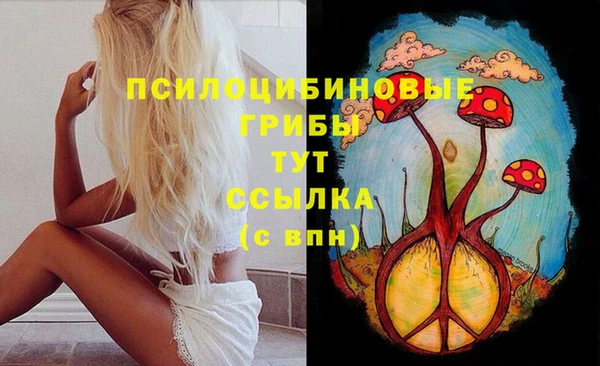 герыч Арсеньев