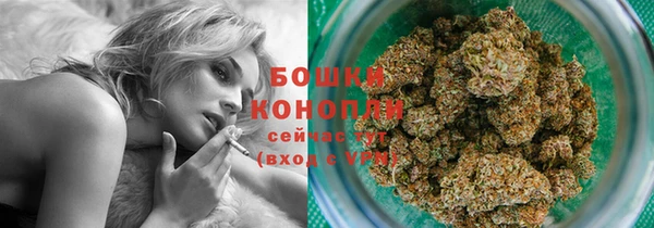 стаф Сафоново
