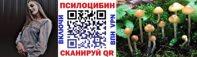 дарк нет Telegram  цены наркотик  Сусуман  Галлюциногенные грибы GOLDEN TEACHER 