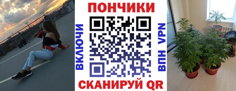 Бошки Шишки OG Kush  где найти наркотики  Сусуман 